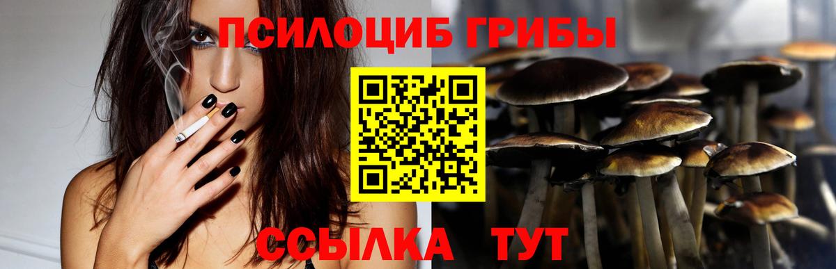 Галлюциногенные грибы Psilocybine cubensis Соликамск